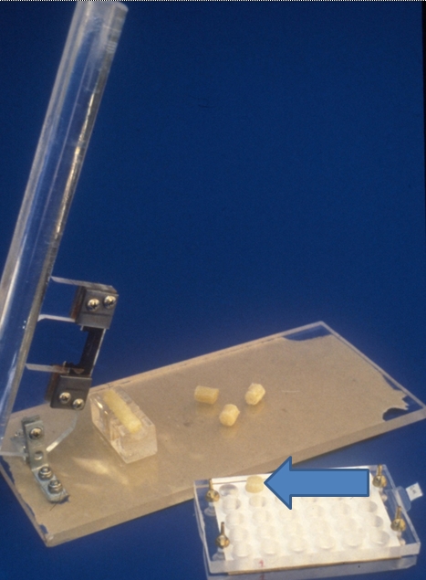 Equipment used to conduct tissue-blot immunoassay