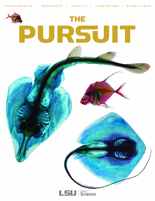 Cover of The Pursuit magazine
