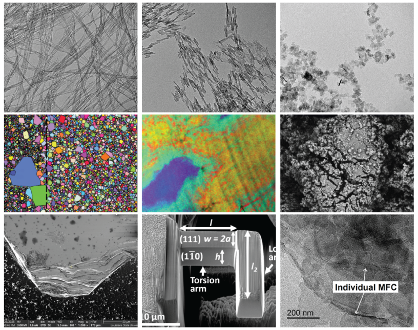 World Microscope Day