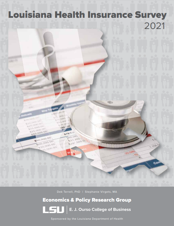 Cover of the LHIS Report with Louisana outline in the center. 