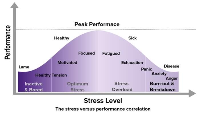 Stress Level vs. Performance Chart
