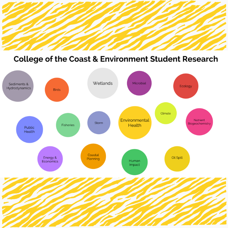 Image of student research highlights cover page