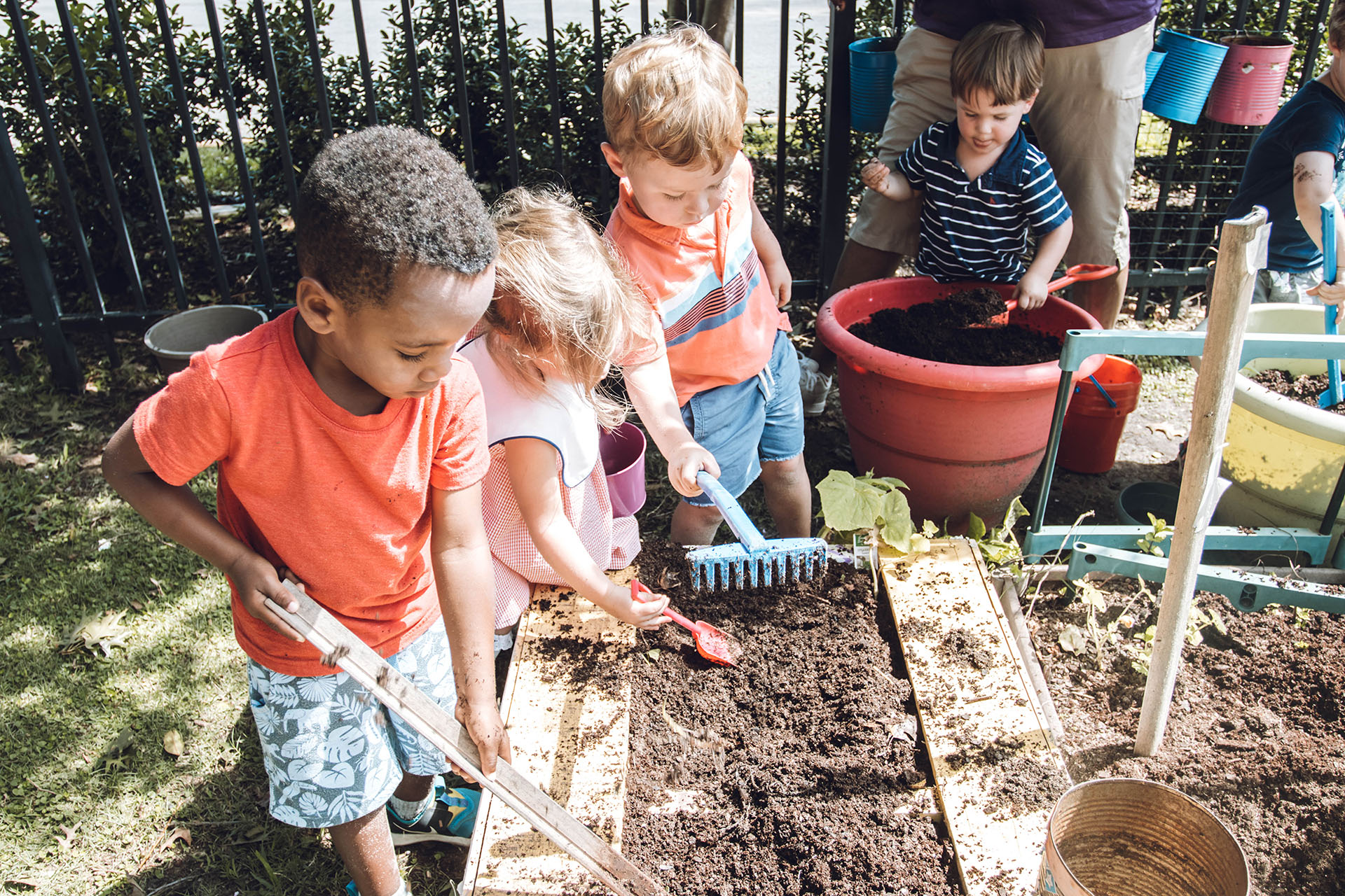 preschool-aged children work in an outdoor raised garden bed with rakes and shovels