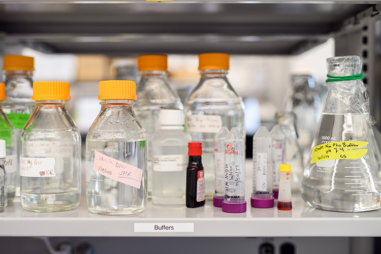 various beakers and buffer items in Prof. Adam T. Melvin's laboratory