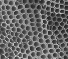 Titania Nanotube Arrays
