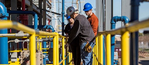 Workers at PERTT lab