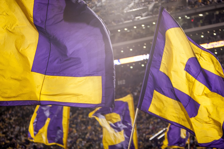 LSU gameday letter flags