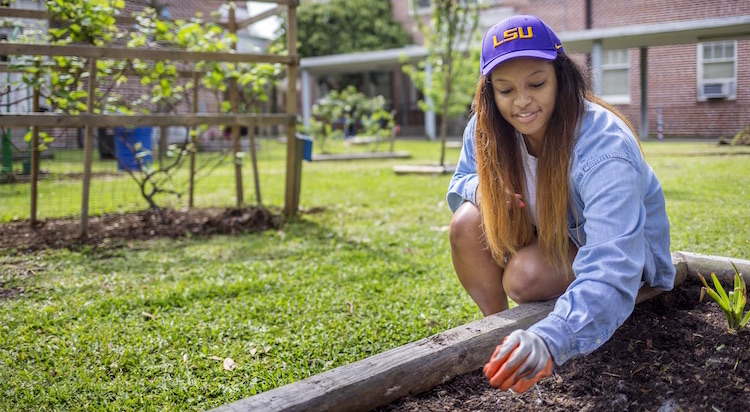 Student Tending to Garden