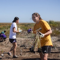 Students working at coastal restoration project.