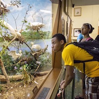 Student takes tour of Natural Science Museum.