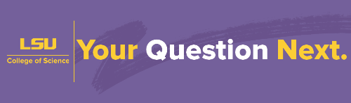 Purple horizontal your question next email header