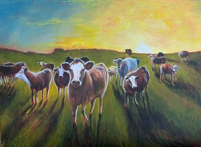 Coming Home cows in a field