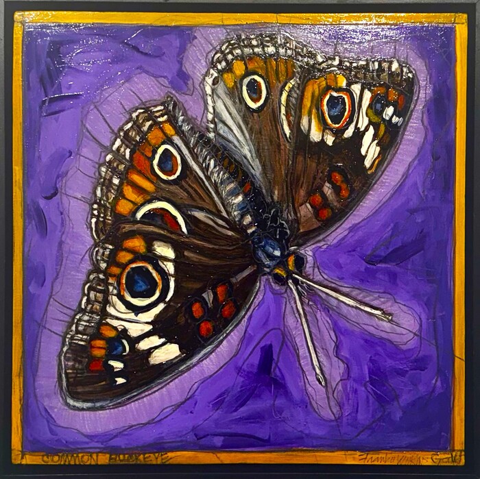 Common Buckeye a moth