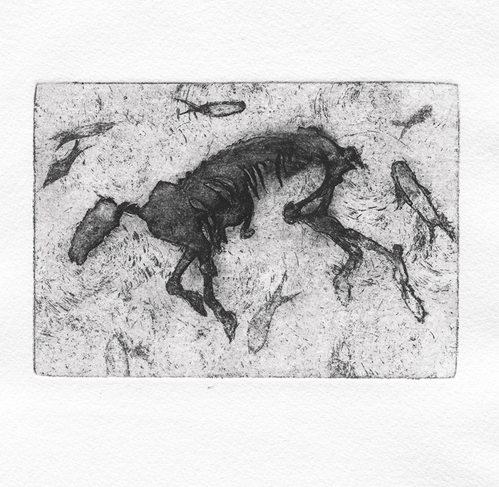 Fossil etching of animal fossil bones