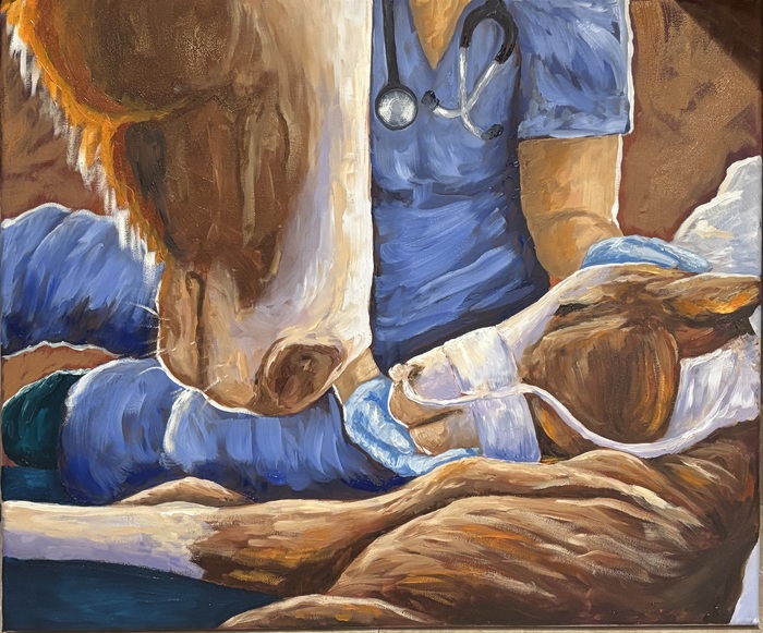 The Bridge foal just born with mare and veterinarian