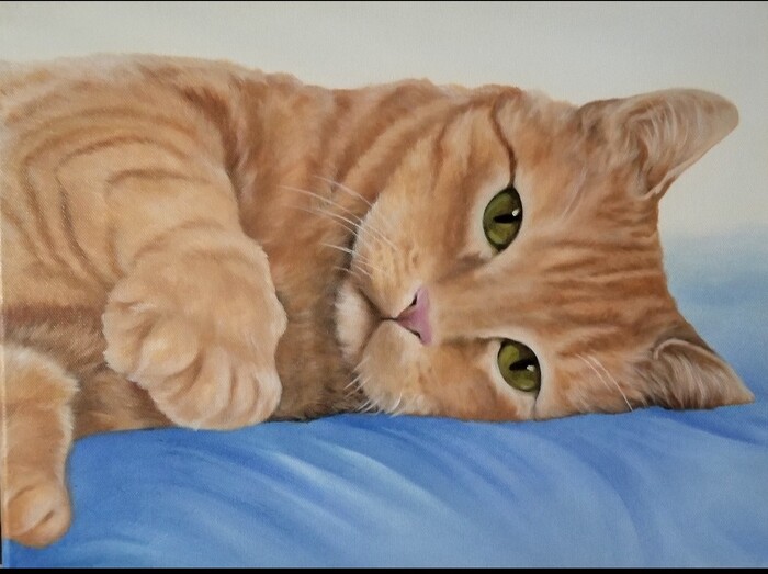 The Invitation tabby cat lying on a blue pillow