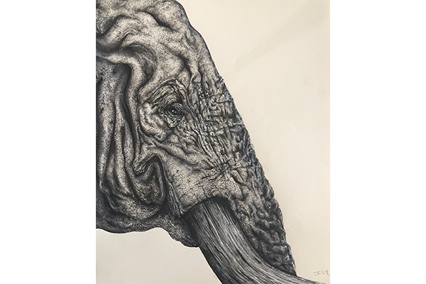 Matriarchy, pen drawing of an elephant