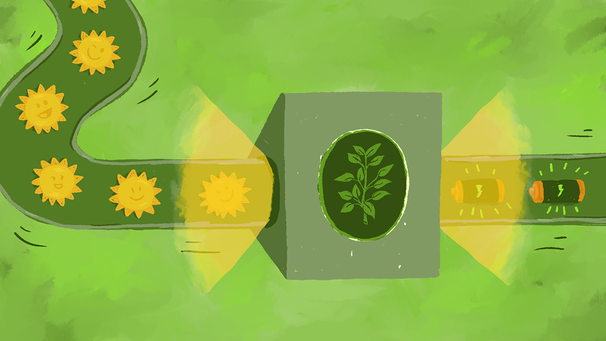 Artificial photosynthesis